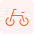 Rental Bicycle