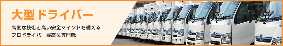 Large driver Professional driver highest profession with advanced technology and high safety mind